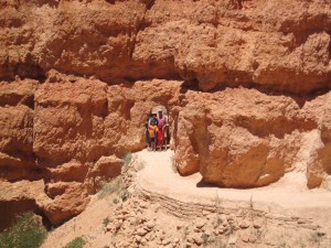 Big Summer Adventure 312